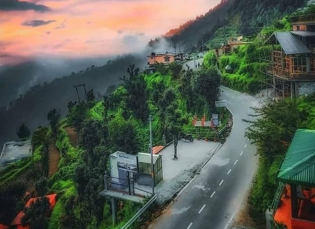 Pine and deodar forest near Kanatal with walking trail