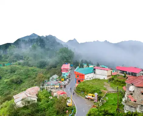 Green forested slopes and cool mist near Dhanaulti